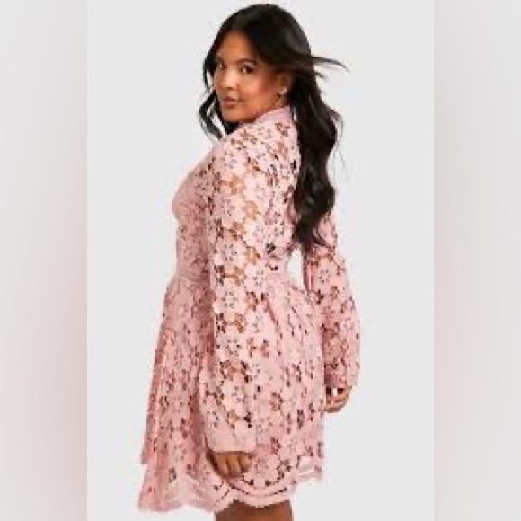 NWT Boohoo Pink Plus Premium Guipure Lace Skater Dress Size 16 - Picture 4 of 4